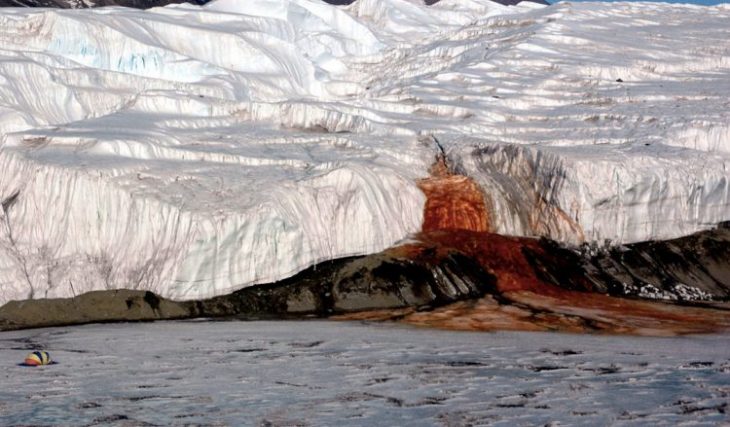 Малоизвестные факты об Антарктиде в 25 фото