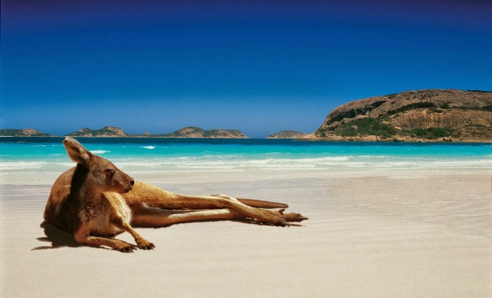 30 интересных фактов об Австралии в фотогалерее
