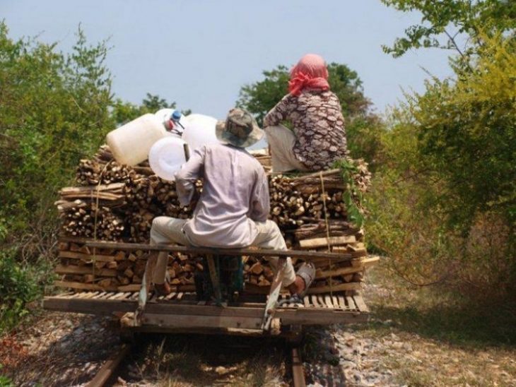 бамбуковый поезд