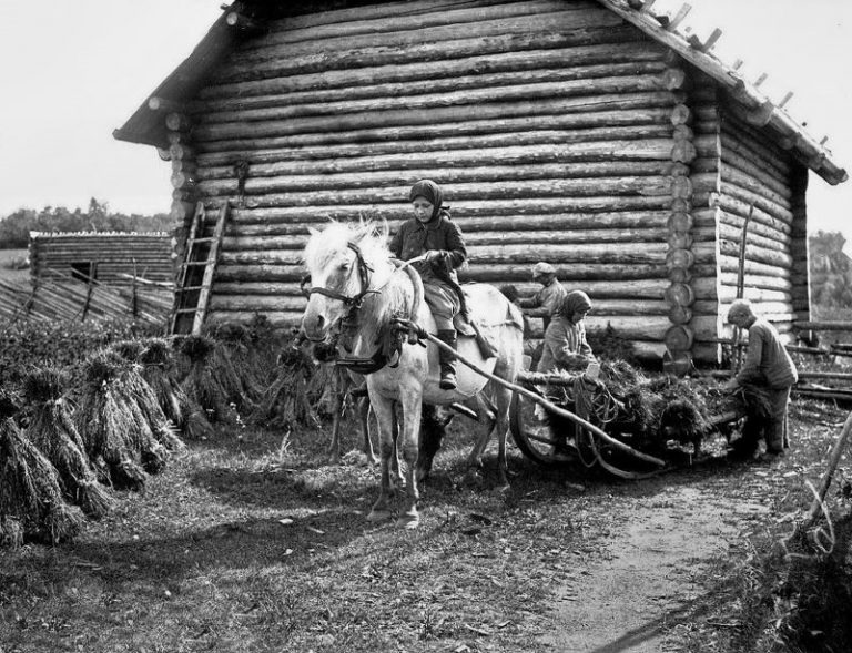 Деревня дореволюционное фото