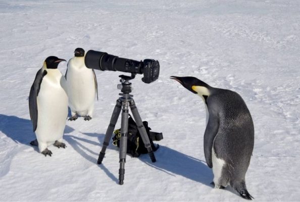 На фотографиях изображены люди разных профессий за работой