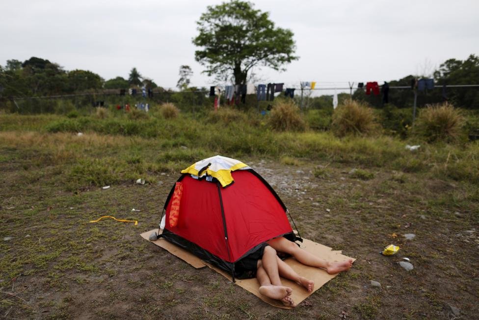 Camping Catastrophes: Hilarious Mishaps from the Great Outdoors