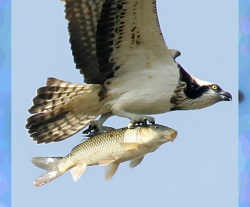 Snapshot Serendipity: Animals Caught in the Right Moment